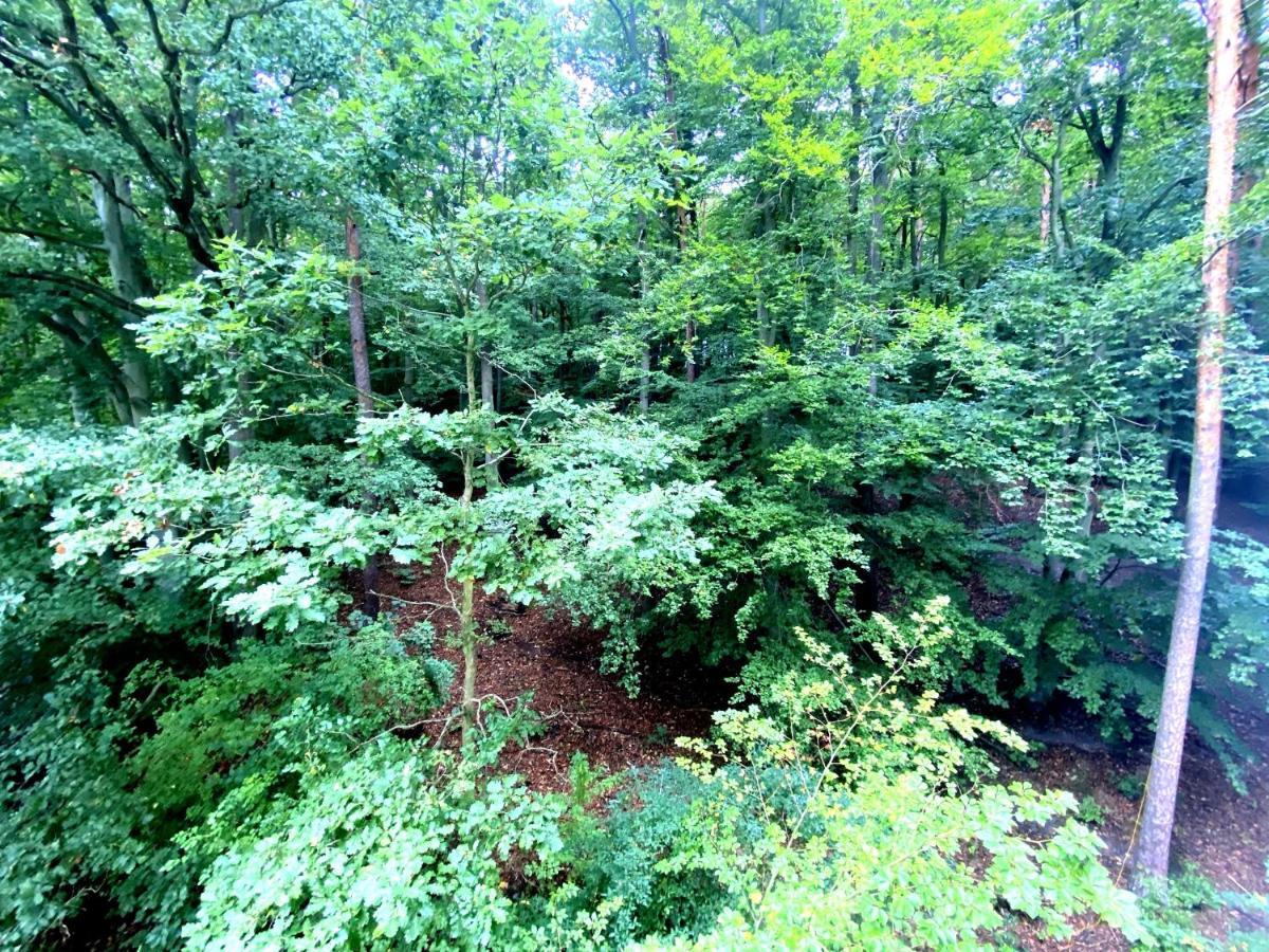 Forest - 23 Marca By Grand Apartament *